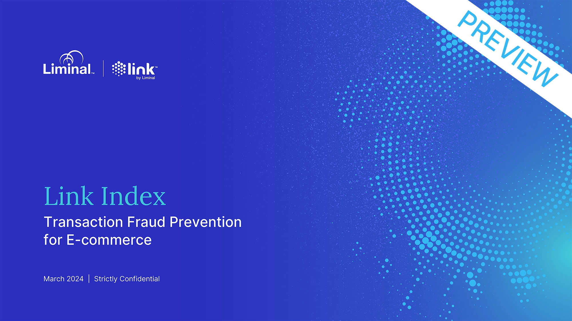 Link Index Preview_Transaction Fraud Prevention E-Commerce 2024 1