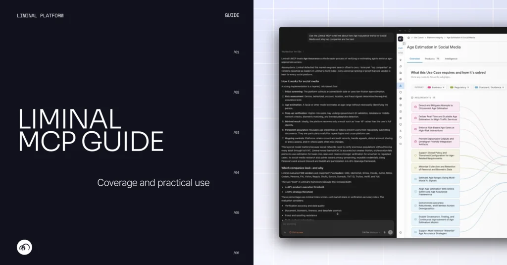 cover for website article explaining how to use the liminal mcp with title and wireframe.